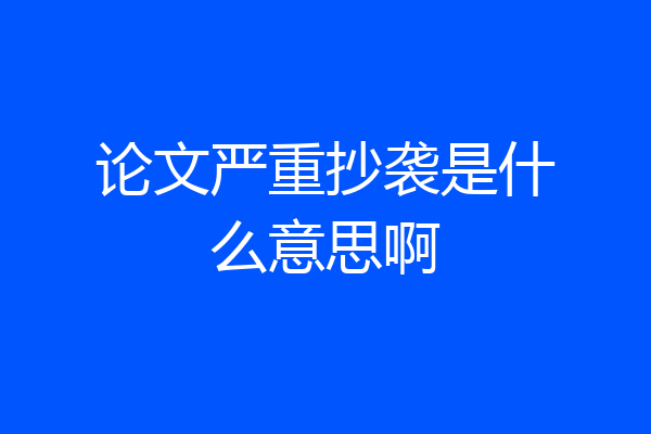 论文严重抄袭是什么意思啊