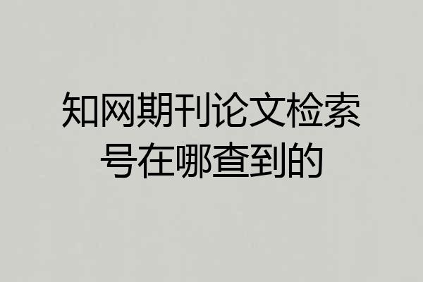 知网期刊论文检索号在哪查到的