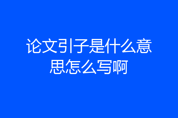 论文引子是什么意思怎么写啊