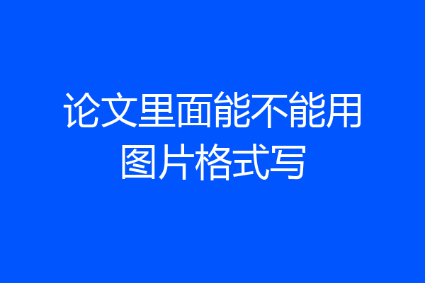 论文里面能不能用图片格式写