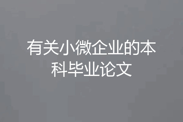 有关小微企业的本科毕业论文
