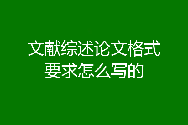 文献综述论文格式要求怎么写的
