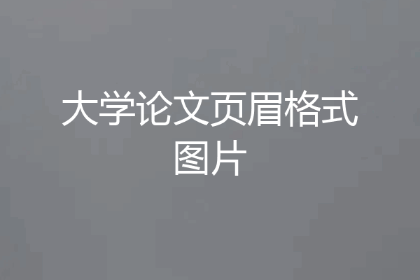 大学论文页眉格式图片