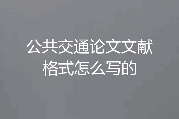 公共交通论文文献格式怎么写的