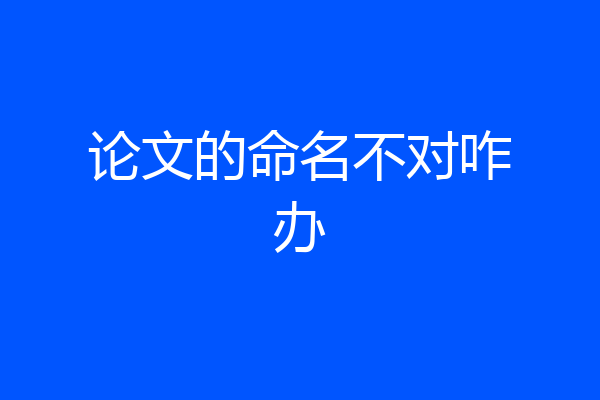 论文的命名不对咋办