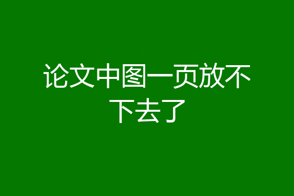 论文中图一页放不下去了
