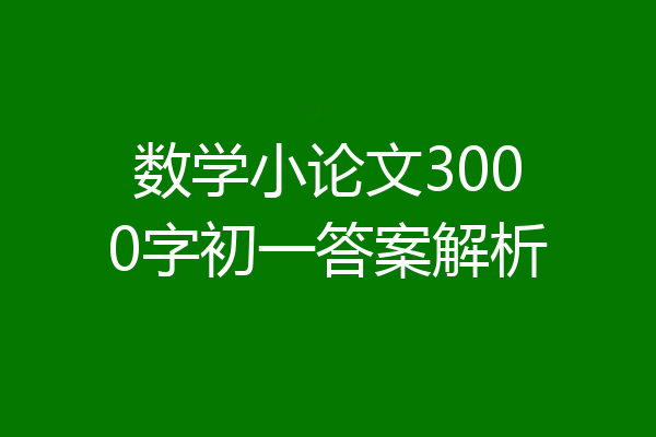 数学小论文3000字初一答案解析