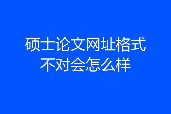 硕士论文网址格式不对会怎么样