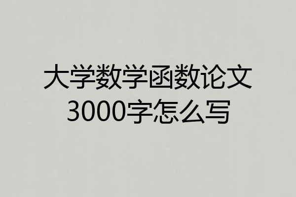 大学数学函数论文3000字怎么写