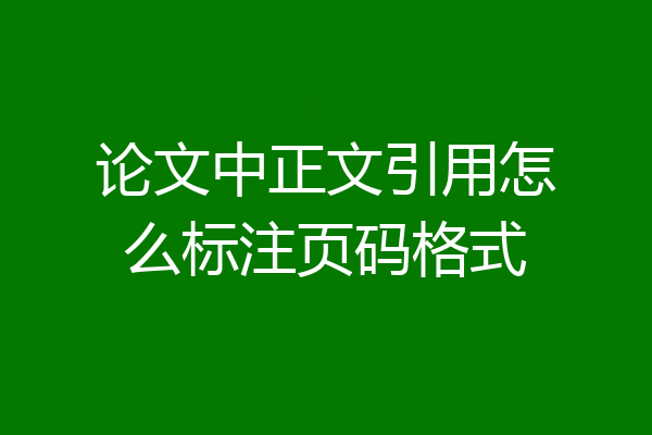 论文中正文引用怎么标注页码格式