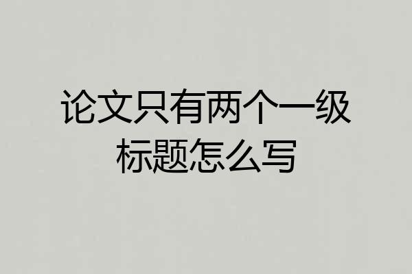 论文只有两个一级标题怎么写