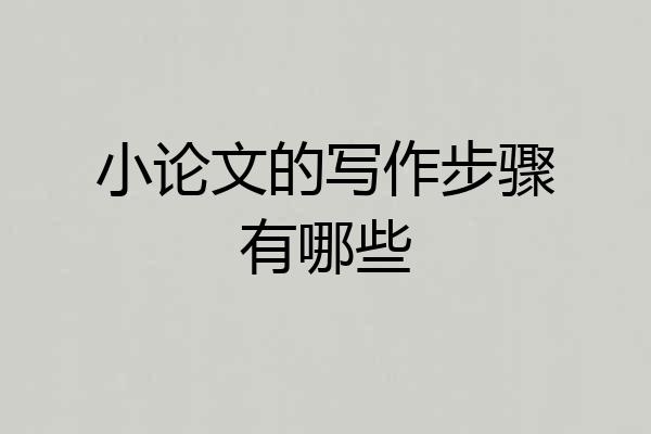 小论文的写作步骤有哪些