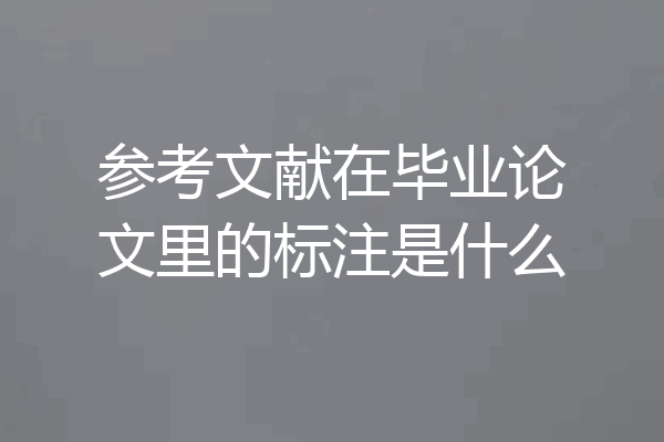参考文献在毕业论文里的标注是什么