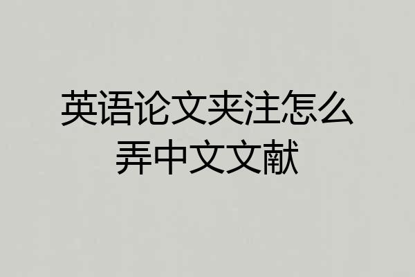 英语论文夹注怎么弄中文文献