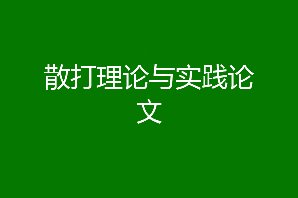 散打理论与实践论文