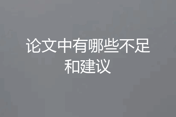 论文中有哪些不足和建议