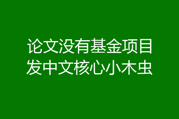 论文没有基金项目发中文核心小木虫