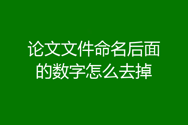 论文文件命名后面的数字怎么去掉