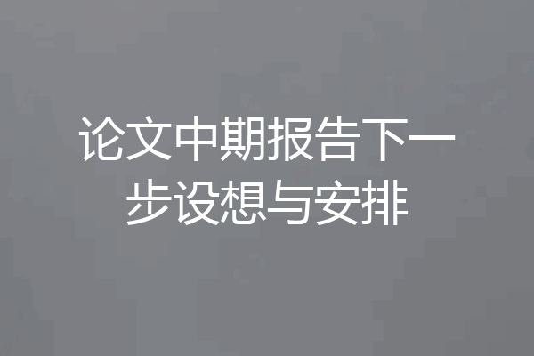 论文中期报告下一步设想与安排