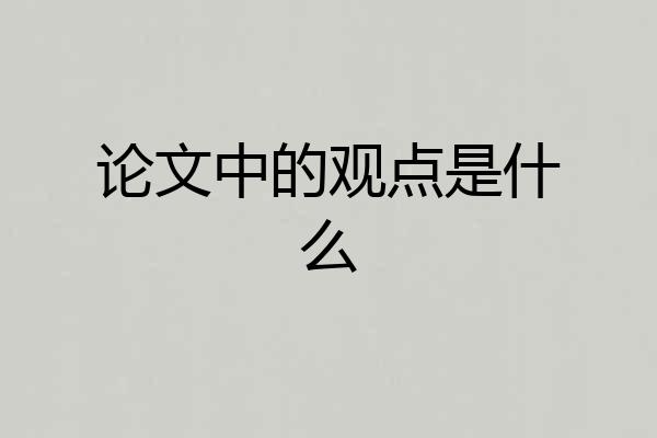 论文中的观点是什么