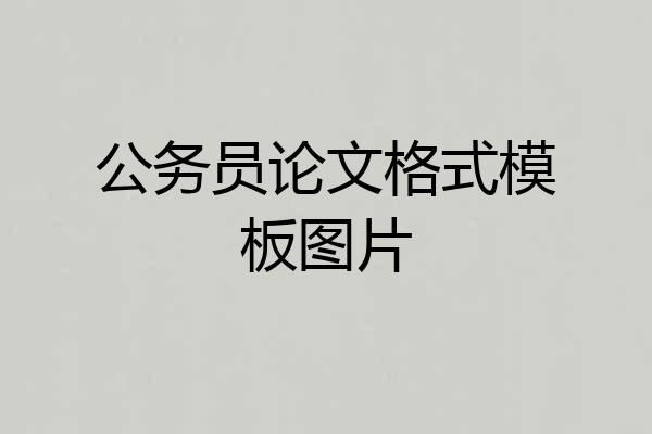 公务员论文格式模板图片