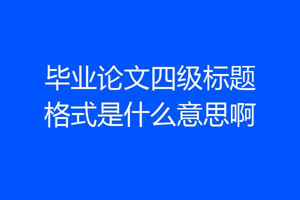 毕业论文四级标题格式是什么意思啊