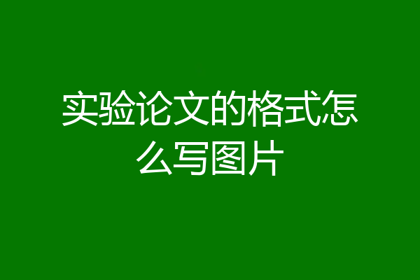 实验论文的格式怎么写图片