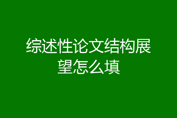 综述性论文结构展望怎么填