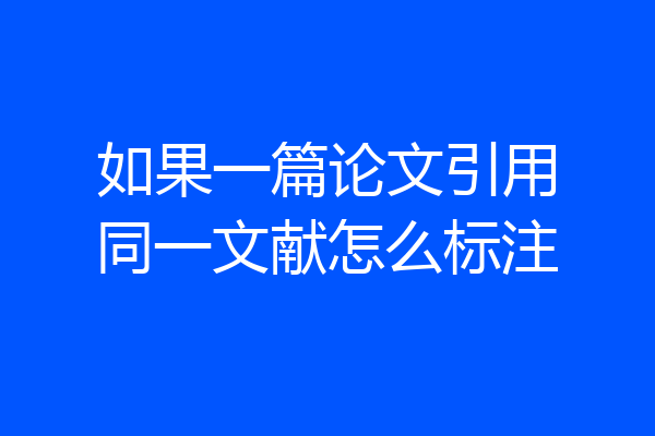如果一篇论文引用同一文献怎么标注