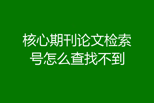 核心期刊论文检索号怎么查找不到