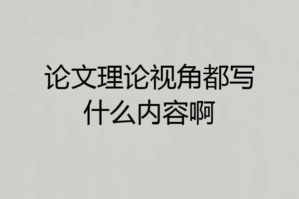 论文理论视角都写什么内容啊