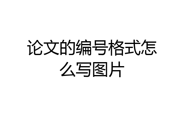 论文的编号格式怎么写图片