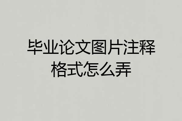 毕业论文图片注释格式怎么弄