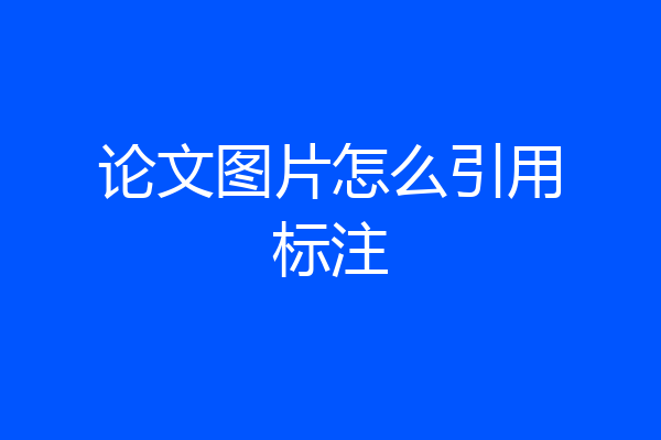 论文图片怎么引用标注