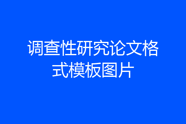 调查性研究论文格式模板图片