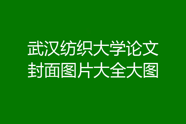 武汉纺织大学论文封面图片大全大图