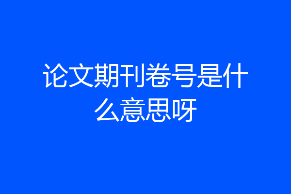 论文期刊卷号是什么意思呀
