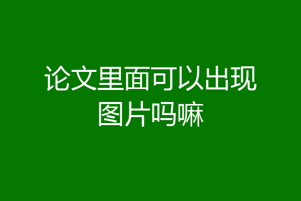 论文里面可以出现图片吗嘛