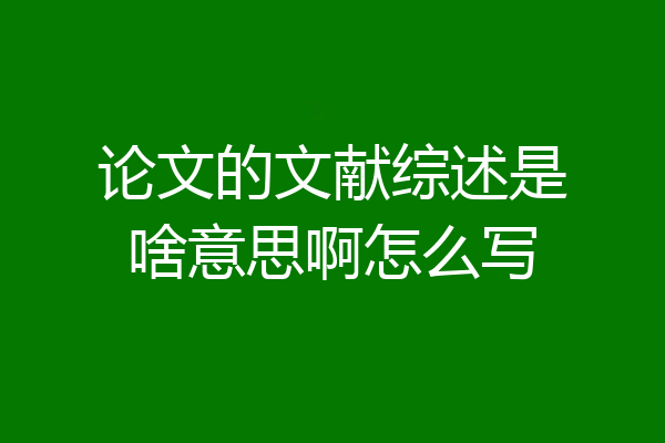论文的文献综述是啥意思啊怎么写