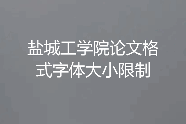 盐城工学院论文格式字体大小限制