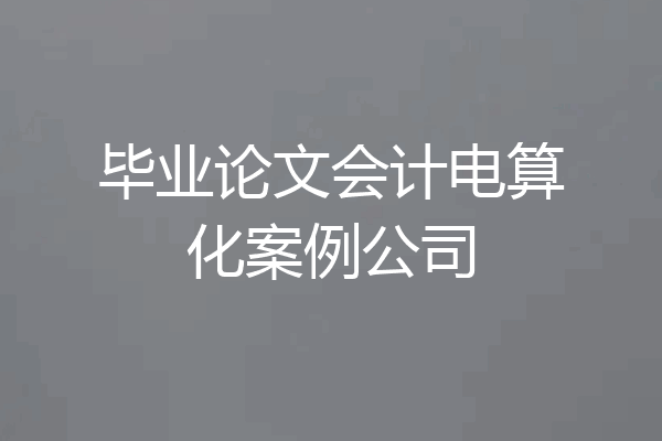 毕业论文会计电算化案例公司