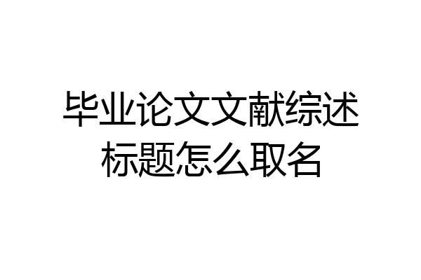 毕业论文文献综述标题怎么取名