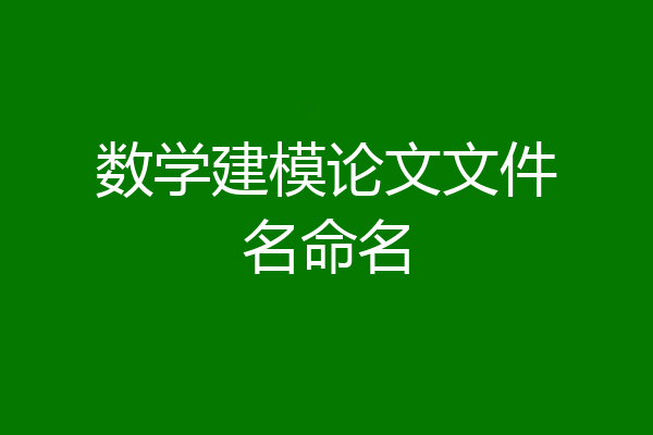 数学建模论文文件名命名