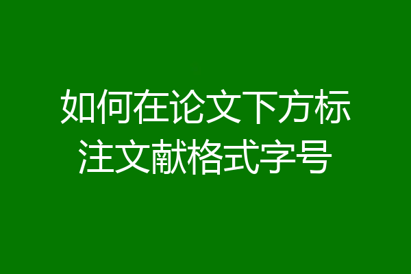 如何在论文下方标注文献格式字号