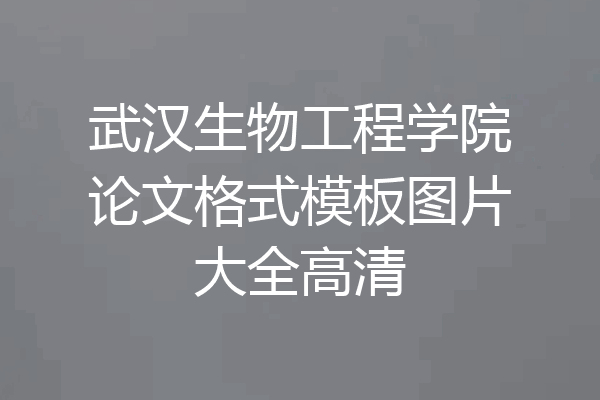 武汉生物工程学院论文格式模板图片大全高清