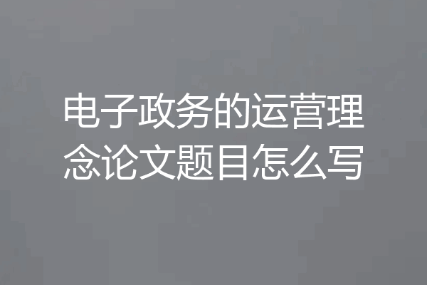 电子政务的运营理念论文题目怎么写
