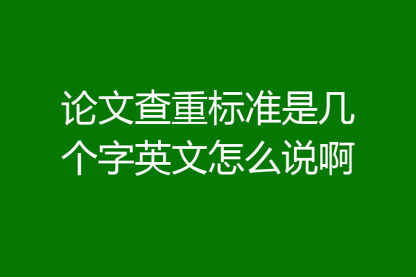 论文查重标准是几个字英文怎么说啊