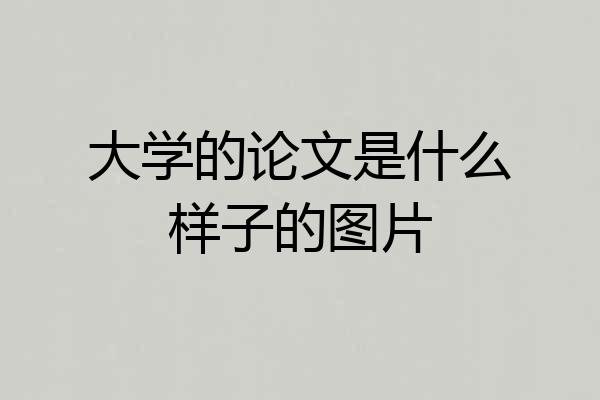 大学的论文是什么样子的图片
