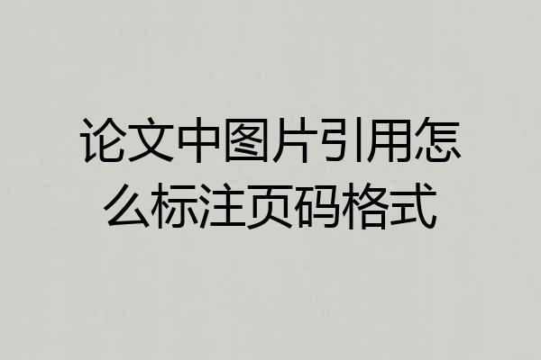 论文中图片引用怎么标注页码格式