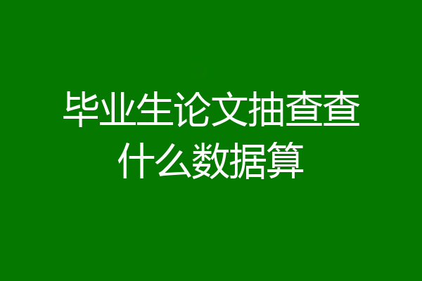 毕业生论文抽查查什么数据算